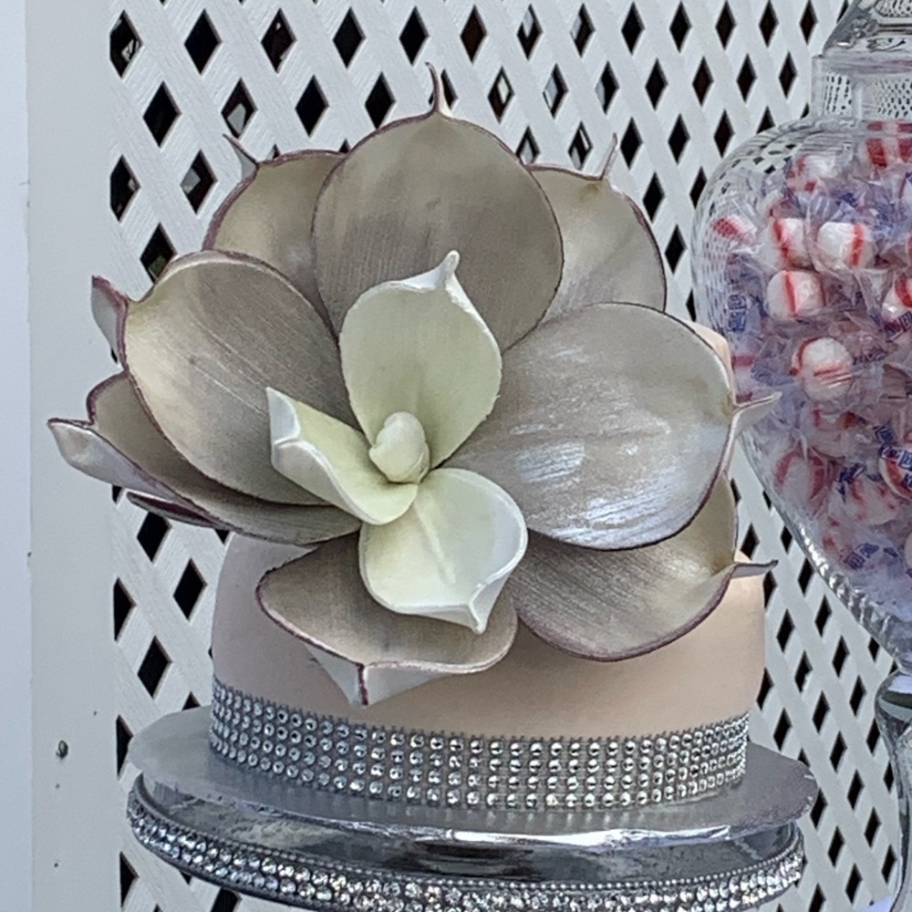 Meet your Posher, Jacqueline